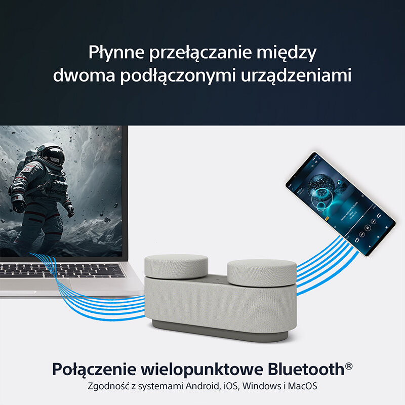 Przenośny system kina domowego | Sony HT-AX7