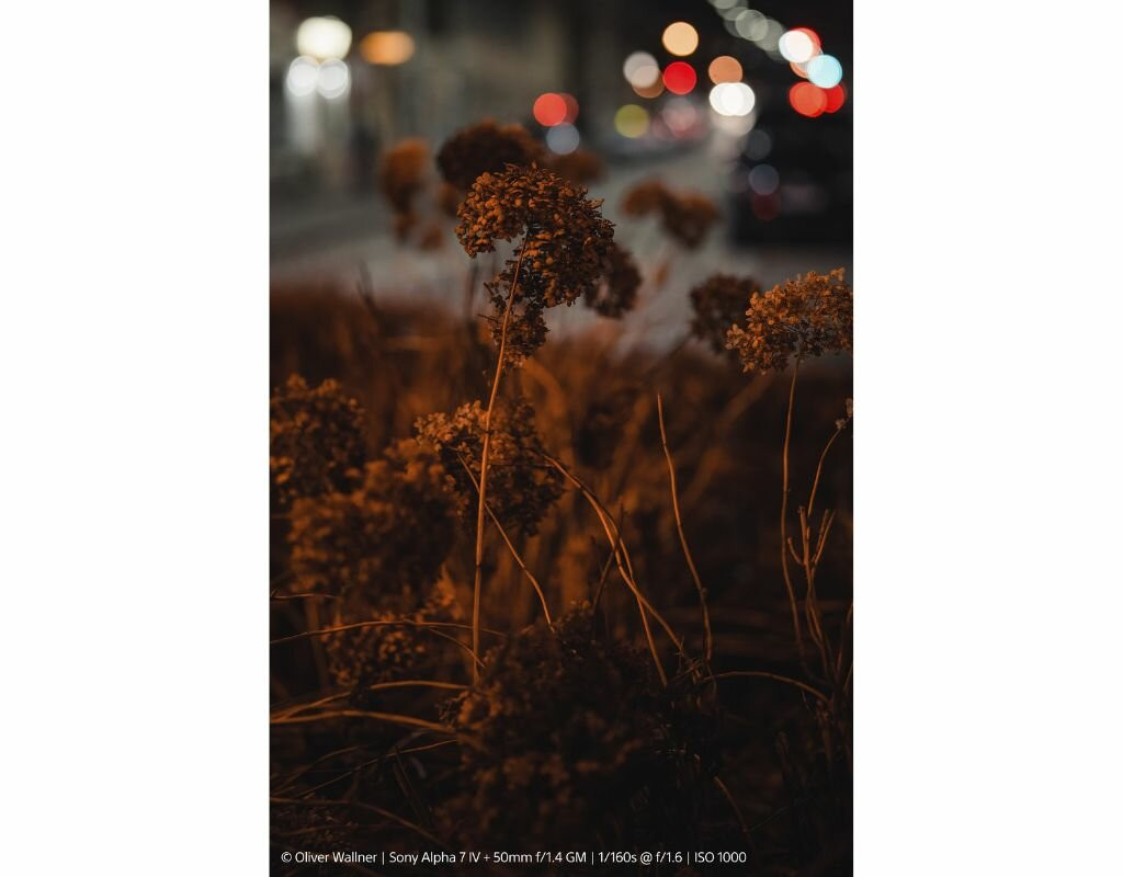 Obiektyw Sony Sony FE 50 mm F1.4 GM | SEL50F14GM