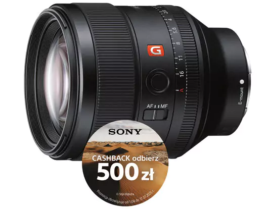 SEL85F14GM