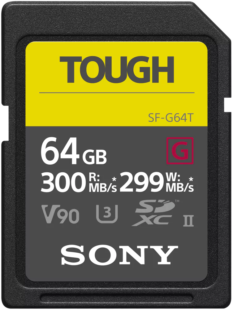 SFG64T