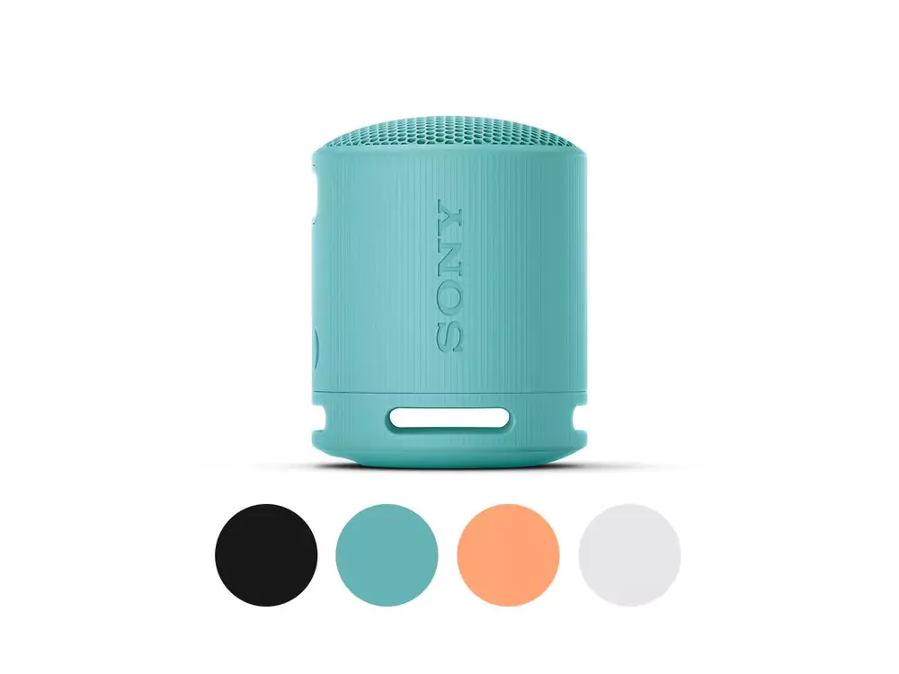 SRS-XB100